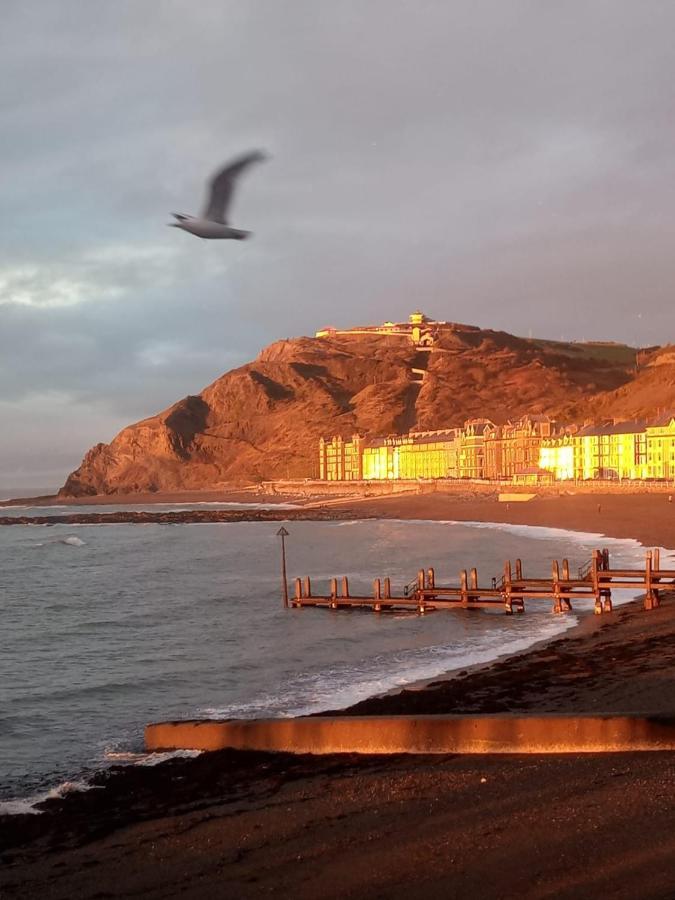 Adail Cottage Aberystwyth Exterior foto